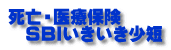 死亡・医療保険 　SBIいきいき少短